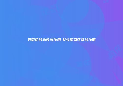 野菊花的功效与作用-女性喝菊花茶的作用
