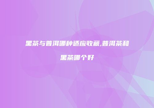 黑茶与普洱哪种适应收藏,普洱茶和黑茶哪个好