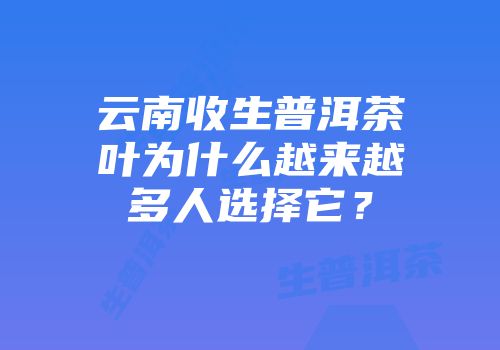 云南收生普洱茶叶为什么越来越多人选择它？