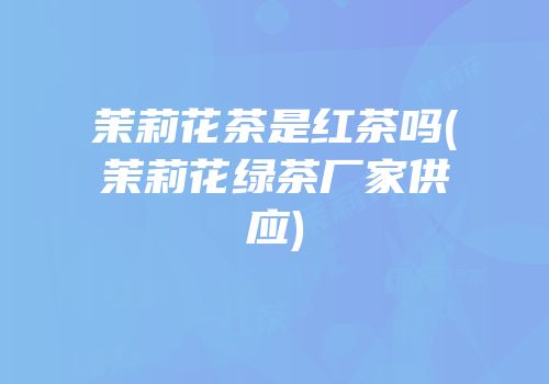 茉莉花茶是红茶吗(茉莉花绿茶厂家供应)