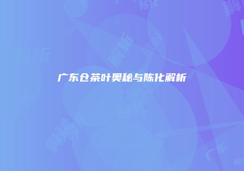 广东仓茶叶奥秘与陈化解析