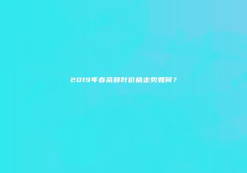 2019年春茶鲜叶价格走势如何？
