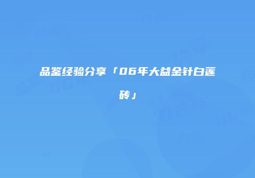 品鉴经验分享「06年大益金针白莲砖」