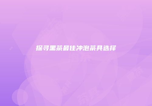 探寻黑茶最佳冲泡茶具选择