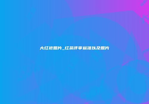 大红袍照片_红茶评审标准以及照片