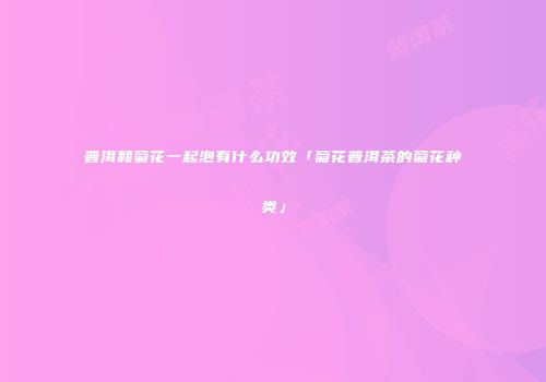 普洱和菊花一起泡有什么功效「菊花普洱茶的菊花种类」