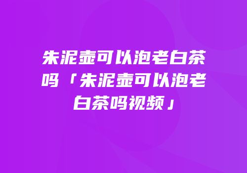 朱泥壶可以泡老白茶吗「朱泥壶可以泡老白茶吗视频」