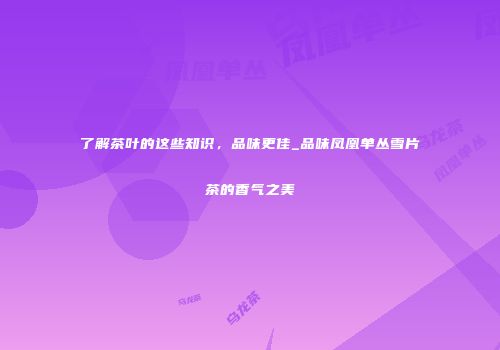 了解茶叶的这些知识，品味更佳_品味凤凰单丛雪片茶的香气之美