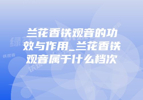 兰花香铁观音的功效与作用_兰花香铁观音属于什么档次
