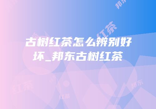 古树红茶怎么辨别好坏_邦东古树红茶