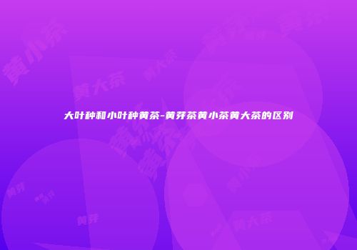 大叶种和小叶种黄茶-黄芽茶黄小茶黄大茶的区别