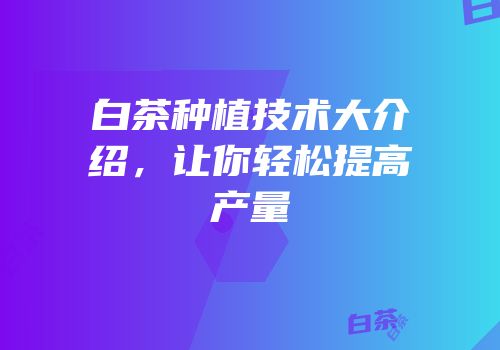 白茶种植技术大介绍，让你轻松提高产量