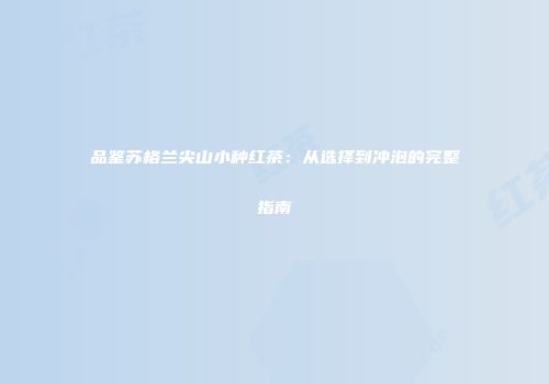 品鉴苏格兰尖山小种红茶：从选择到冲泡的完整指南