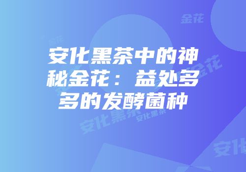 安化黑茶中的神秘金花：益处多多的发酵菌种