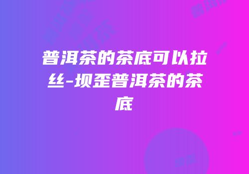 普洱茶的茶底可以拉丝-坝歪普洱茶的茶底