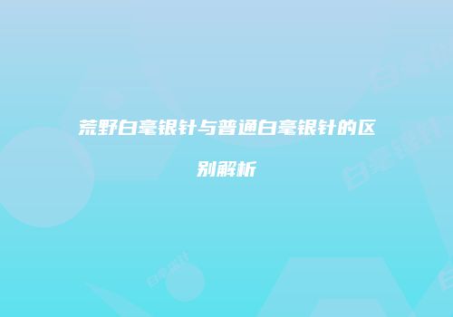 荒野白毫银针与普通白毫银针的区别解析