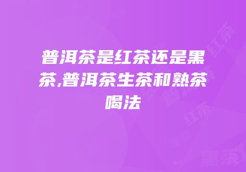 普洱茶是红茶还是黑茶,普洱茶生茶和熟茶喝法