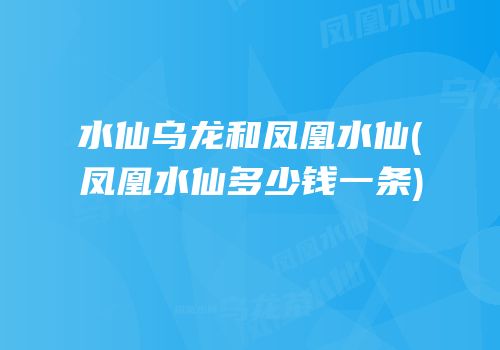 水仙乌龙和凤凰水仙(凤凰水仙多少钱一条)