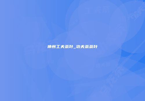 神州工夫茶叶_功夫茶茶叶