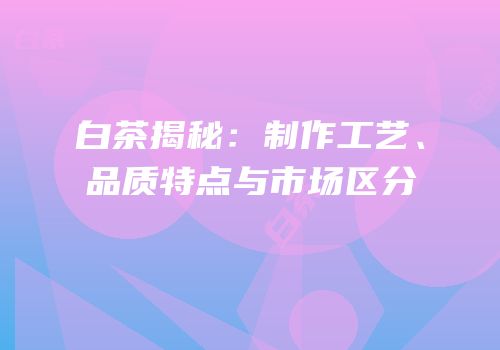 白茶揭秘：制作工艺、品质特点与市场区分