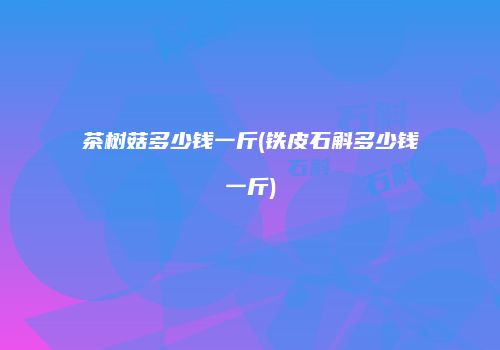 茶树菇多少钱一斤(铁皮石斛多少钱一斤)