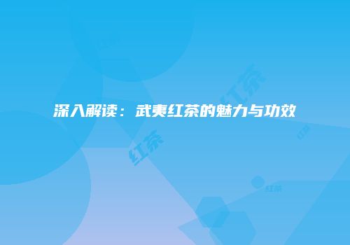 深入解读：武夷红茶的魅力与功效