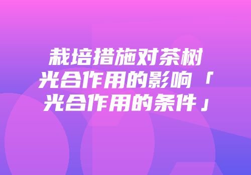 栽培措施对茶树光合作用的影响「光合作用的条件」