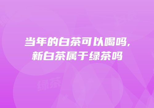 当年的白茶可以喝吗,新白茶属于绿茶吗