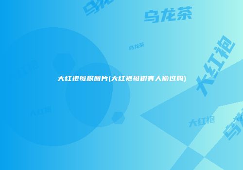 大红袍母树图片(大红袍母树有人偷过吗)