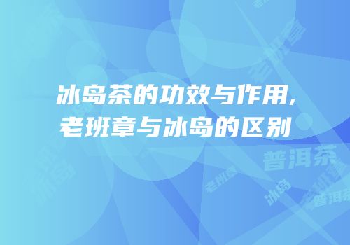 冰岛茶的功效与作用,老班章与冰岛的区别