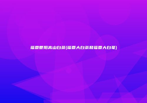 福鼎管阳高山白茶(福鼎大白茶和福鼎大白毫)