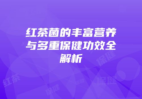 红茶菌的丰富营养与多重保健功效全解析