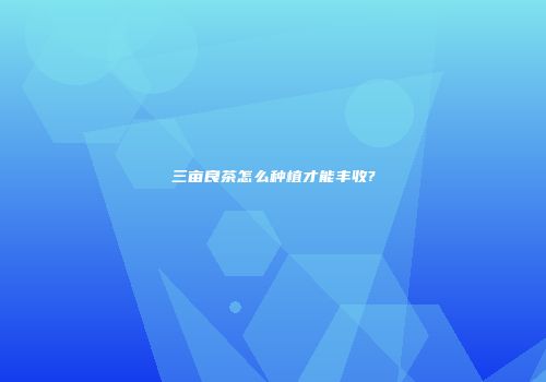 三亩良茶怎么种植才能丰收?