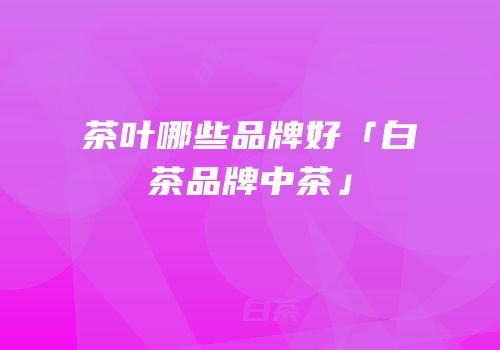 茶叶哪些品牌好「白茶品牌中茶」