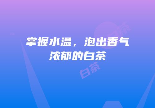 掌握水温，泡出香气浓郁的白茶