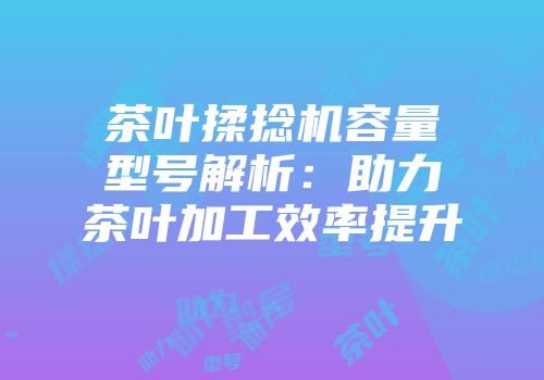茶叶揉捻机容量型号解析：助力茶叶加工效率提升