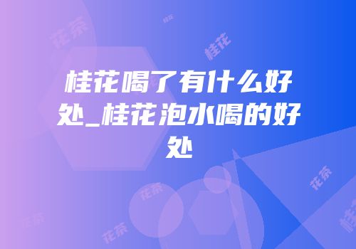 桂花喝了有什么好处_桂花泡水喝的好处