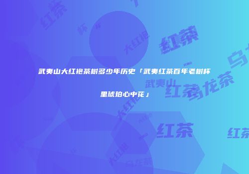 武夷山大红袍茶树多少年历史「武夷红茶百年老树杯里琥珀心中花」