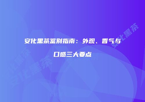 安化黑茶鉴别指南：外观、香气与口感三大要点