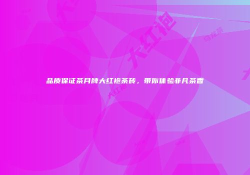 品质保证茶月牌大红袍荼砖，带你体验非凡茶香