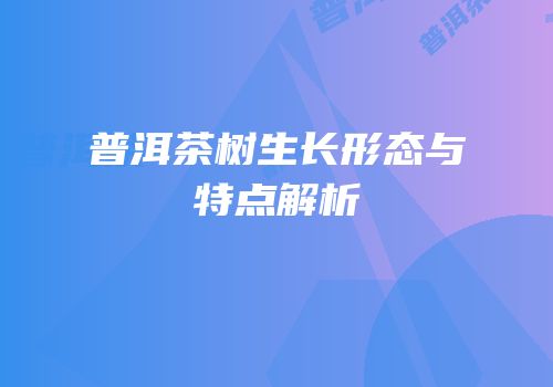 普洱茶树生长形态与特点解析