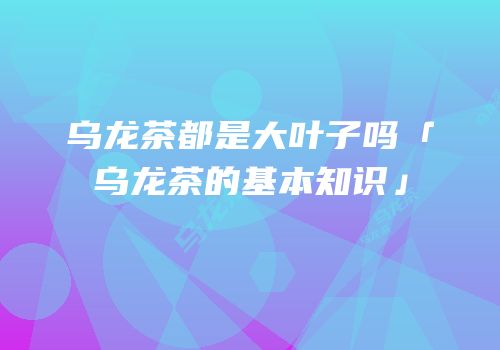 乌龙茶都是大叶子吗「乌龙茶的基本知识」