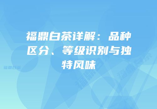 福鼎白茶详解：品种区分、等级识别与独特风味