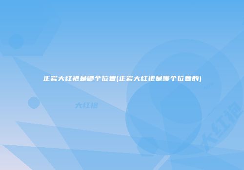 正岩大红袍是哪个位置(正岩大红袍是哪个位置的)