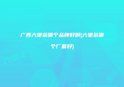 广西六堡茶哪个品牌好啊(六堡茶哪个厂最好)