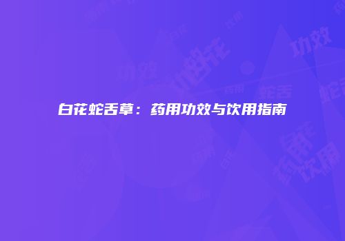 白花蛇舌草：药用功效与饮用指南