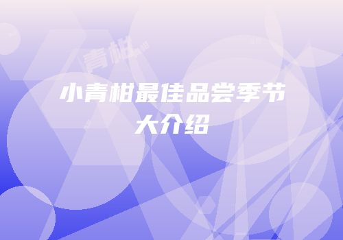 小青柑最佳品尝季节大介绍