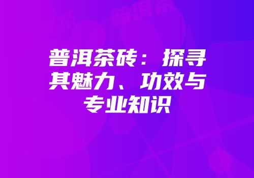普洱茶砖：探寻其魅力、功效与专业知识