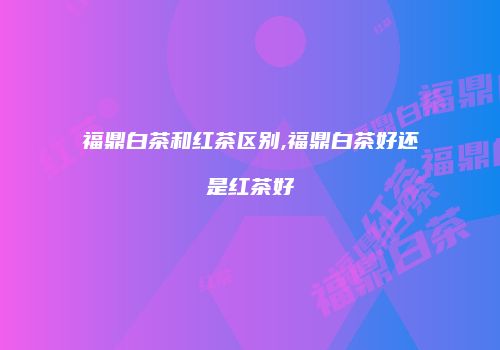 福鼎白茶和红茶区别,福鼎白茶好还是红茶好