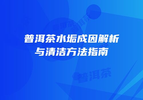 普洱茶水垢成因解析与清洁方法指南